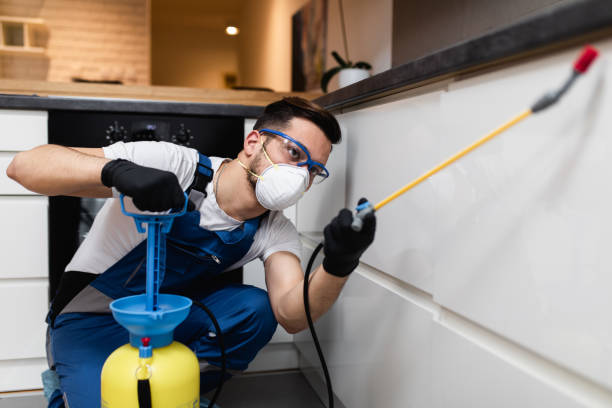 Best Rat Extermination Near Me  in Lubbock, TX