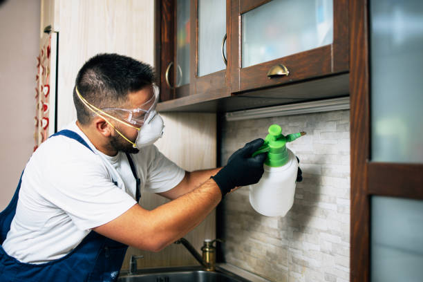 Best Commercial Pest Control Services  in Lubbock, TX