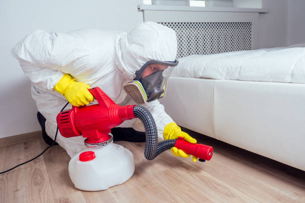Best Emergency Pest Control  in Lubbock, TX