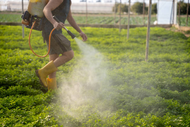Best Pest Control for Restaurants  in Lubbock, TX