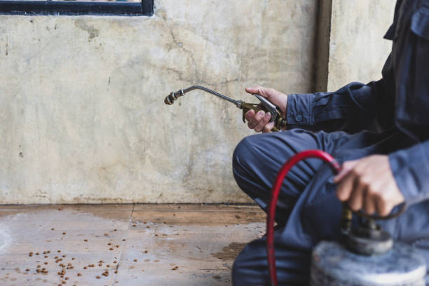 Best Pest Control Treatment  in Lubbock, TX