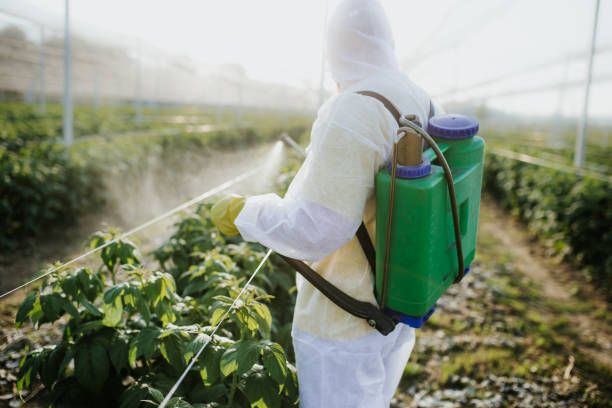 Best Insect Control  in Lubbock, TX